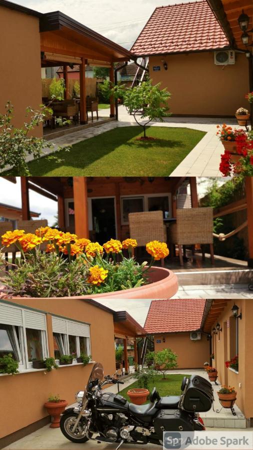 Villa Klara Novi Sad Eksteriør bilde