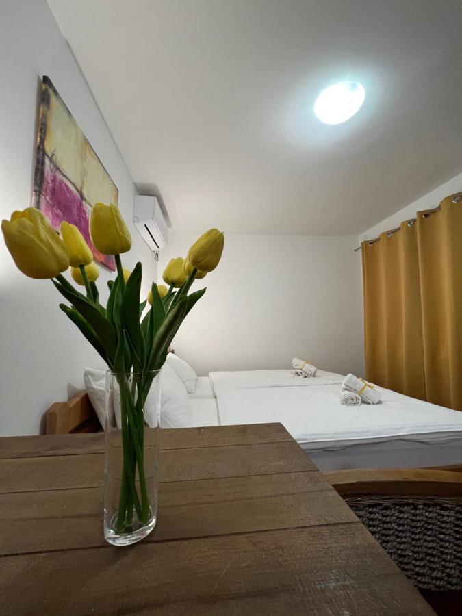 Villa Klara Novi Sad Eksteriør bilde