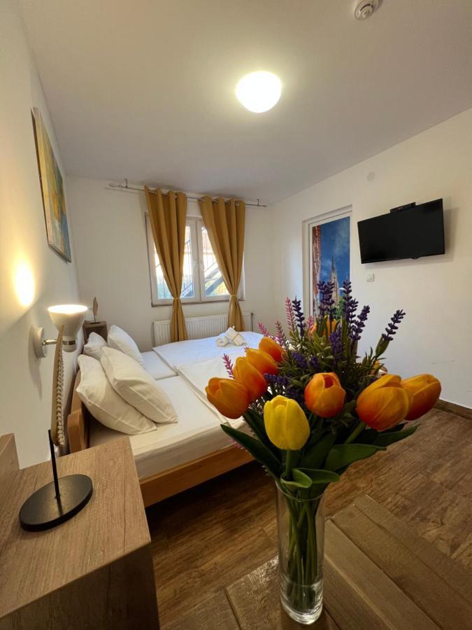 Villa Klara Novi Sad Eksteriør bilde